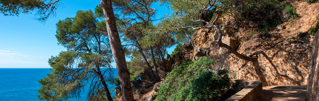 Un Entorn de Somni: descobreix Sant Feliu de Guíxols i la Costa Brava